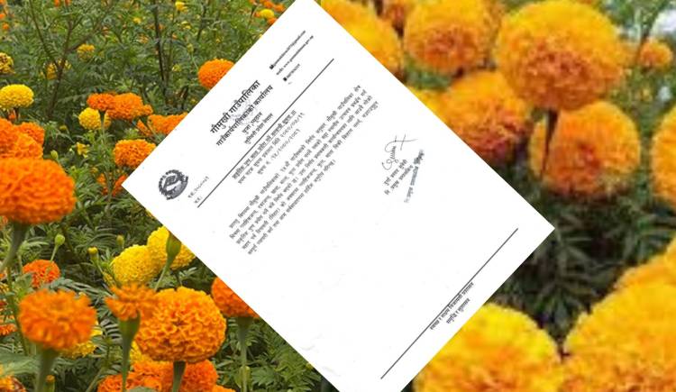 प्युठानको गौमुखि गाउँपालिकाद्वारा पलास्टिकजन्य मालाको बिक्री वितरण नगर्न आग्रह