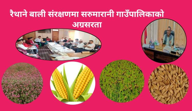 रैथाने बाली संरक्षणमा सरुमारानी गाउँपालिकाको अग्रसरता