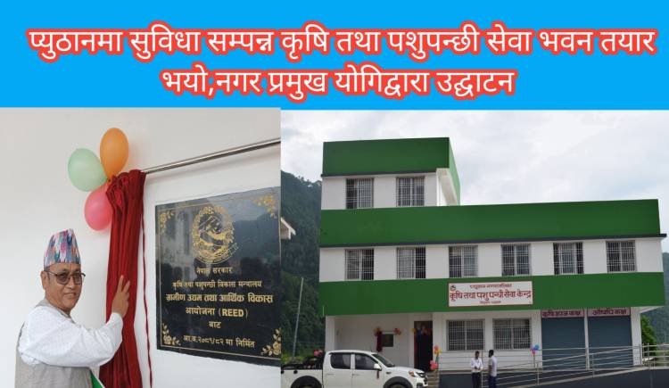 प्युठानमा सुविधा सम्पन्न कृषि तथा पशुपन्छी सेवा भवन तयार भयो,नगर प्रमुख योगिद्वारा उद्घाटन 