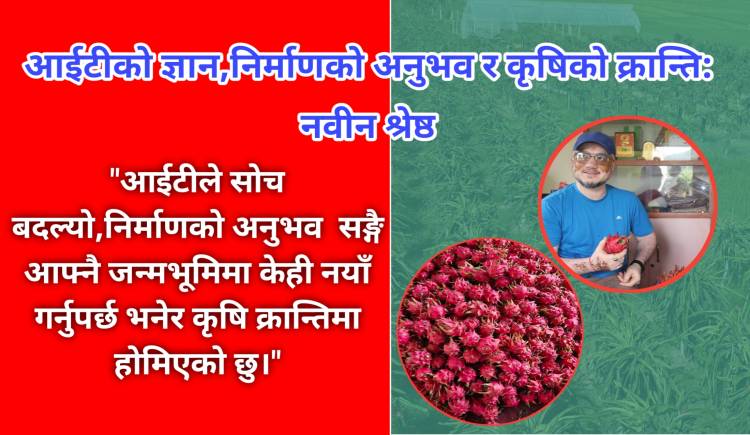 आईटीको ज्ञान,निर्माणको अनुभव र कृषिको क्रान्ति: नवीन श्रेष्ठ