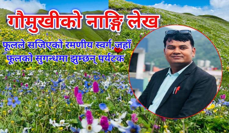 गौमुखीको नाङ्गि लेख : फूलले सजिएको रमणीय स्वर्ग,जहाँ फूलको सुगन्धमा झुम्छन् पर्यटक