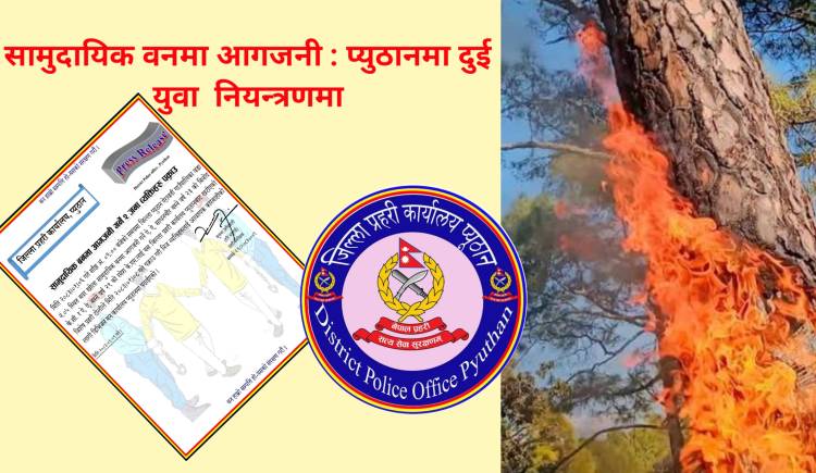 सामुदायिक वनमा आगजनी : प्युठानमा दुई युवा  नियन्त्रणमा