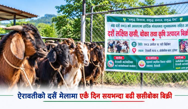ऐरावतीको दसैँ मेलामा एकै दिन सयभन्दा बढी खसीबोका बिक्री
