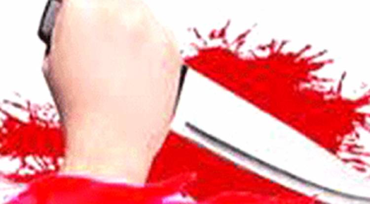 आमाको हत्या गरी आत्महत्या