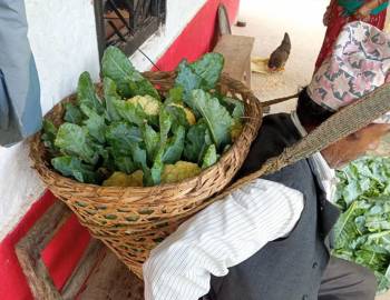 कृषि कर्ममा रमाउदैँ गरेका हुकुम,भन्छन कृषि भन्दा ठुलो केहि छैन 