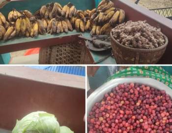 स्थानीय उत्पादनको बजारीकरण गर्न गौमुखी गाउँपालिकाको खुङ्गमा सुरु भयो कृषि "हार्ट बजार"