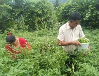 हरेक हण्डरको सामना गर्दै कृषिमा रमाएका गोविन्द