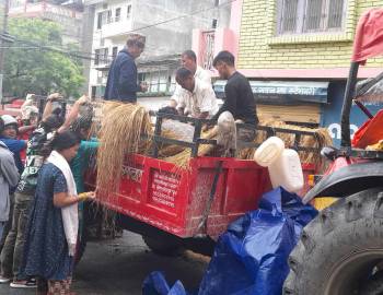 स्याउलीबाङ्गको बेमौसमी आलुले पायो बजार,किन्न जानेको घुइँचो