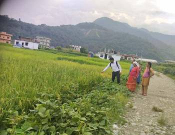 जब कार्यालय प्रमुख "चुमान गिरी "किसानको धान खेतमै पुगेपछि .......