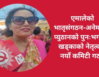 एमालेको भातृ संगठन-अनेम संघ प्युठानको पुनःभगवती खड्काको नेतृत्वमा नयाँ कमिटी गठन