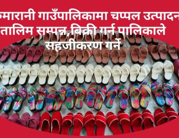 सरुमारानी गाउँपालिकामा चप्पल उत्पादन तालिम सम्पन्न,बिक्री गर्न पालिकाले सहजीकरण गर्ने