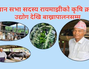 संविधान सभा सदस्य रायमाझीको कृषि क्रान्ति : उद्योग देखि बाख्रापालनसम्म