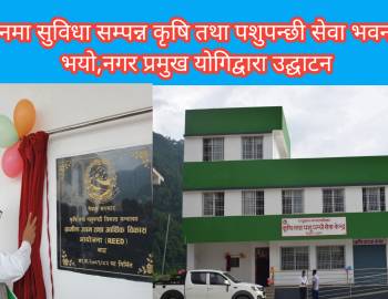 प्युठानमा सुविधा सम्पन्न कृषि तथा पशुपन्छी सेवा भवन तयार भयो,नगर प्रमुख योगिद्वारा उद्घाटन 