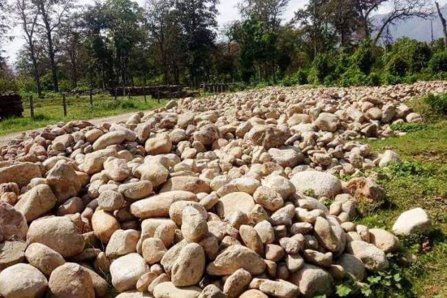 बुद्धभुमीमा अबैध काठ तथा ढुङगा निकासी