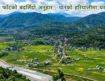 झिमरुक फाँटको बदलिँदो अनुहार : खेतको हरियालीमा घरका छायाँ