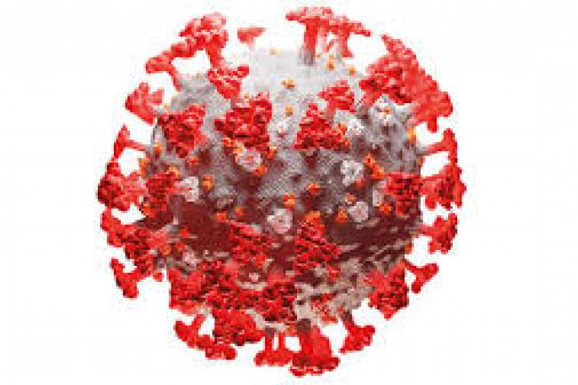 किस्ट अस्पतालमा भर्ना भएकी गर्भवतीसहित चार जनामा देखियो कोरोना